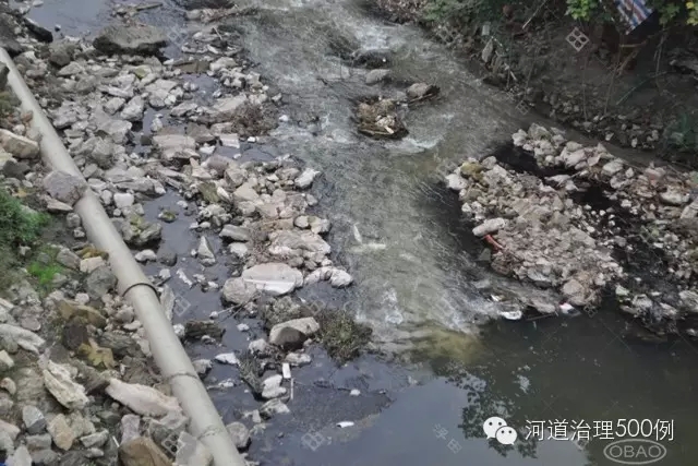塞纳河污染严重 塞纳河污染严重