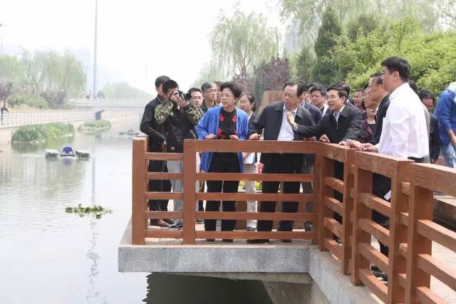 北京市市长王安顺一行考察调研马草河水生态综合治理工程