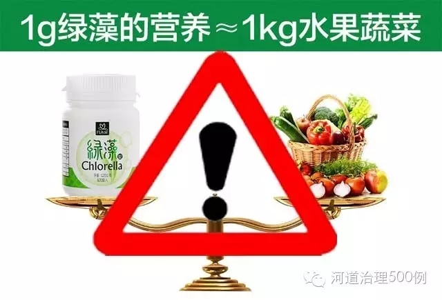 慎提蓝藻产业化及国外治理水华的成功做法