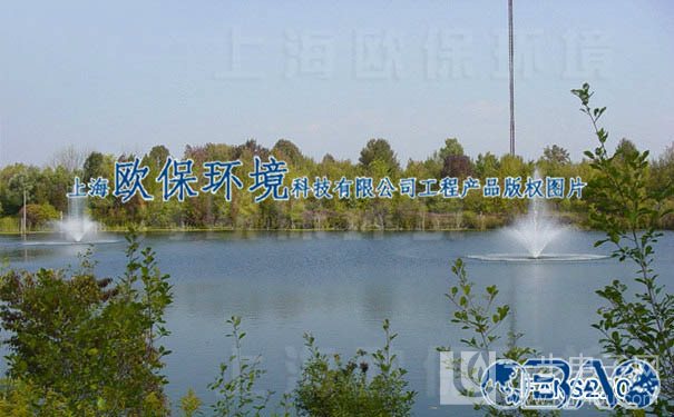上海水务局局长:河道整治数量只做加法 上不封顶 上海水务局局长:河道整治数量只做加法 上不封顶