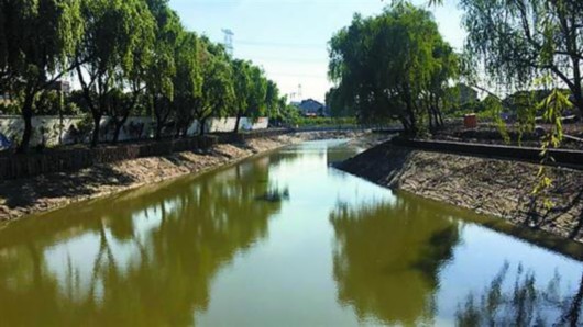 生态治理进入"深水区"的上海青浦怎样啃下"硬骨头"