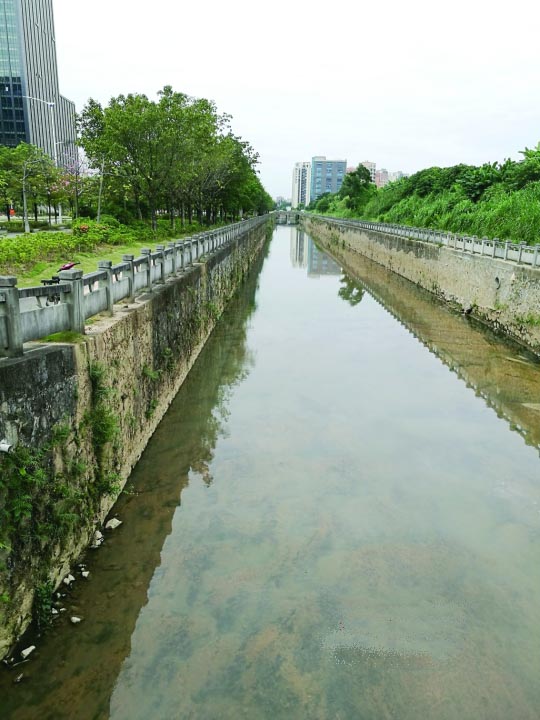 光明新区：综合施策黑臭水体治理见成效