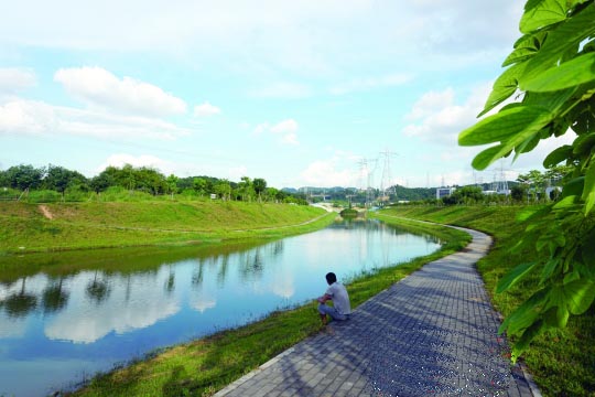 光明新区：综合施策黑臭水体治理见成效