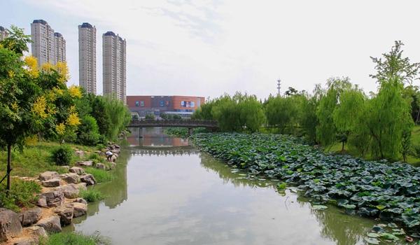 崇尚生态美 温州出台全省首个《乡村河道指导意见》