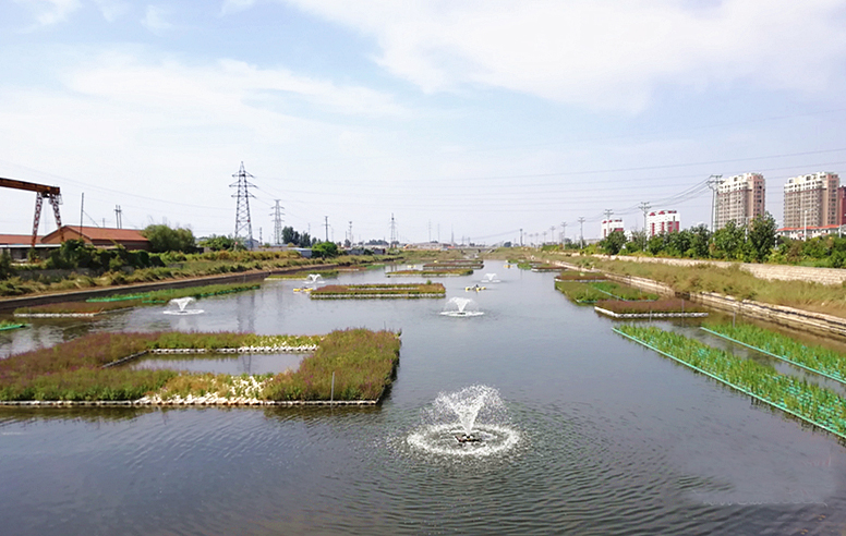 东营区在河道建设人工生态浮岛净化环境水质