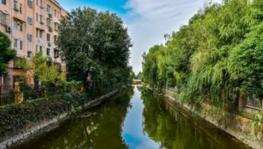 苏州河越来越"水灵":4条支流华丽变身、滨江休闲生态走廊初具雏形