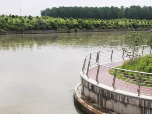 苏州河越来越"水灵":4条支流华丽变身、滨江休闲生态走廊初具雏形