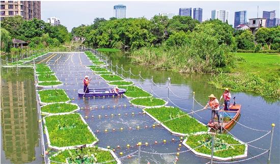 景泰县加强河道清理整治工作