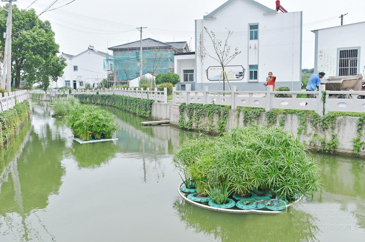 集中治理河道周边环境,欧保环境人工浮岛