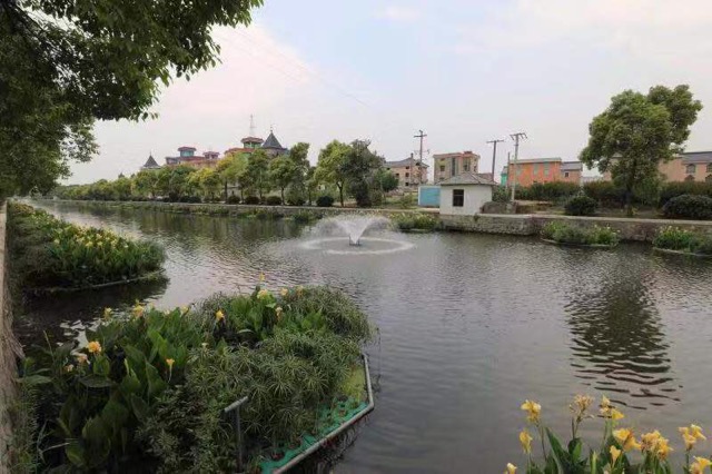 浦口8条河道年底完成整治