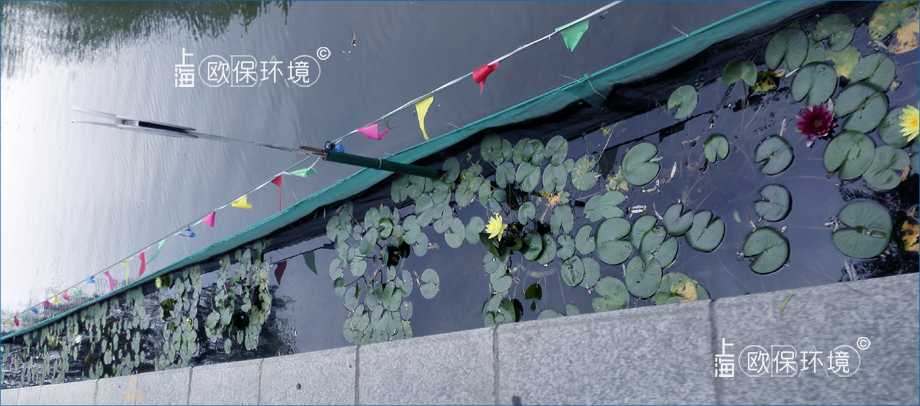 KELPBIO漂浮生物栅净水技术是&ldquo;水下森林&rdquo;的安全防护墙