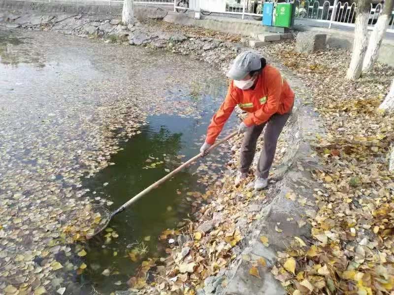 小区池塘,水浅,面积小,打捞设备无法进入,只能人工打捞 小区池塘,水浅,面积小,打捞设备无法进入,只能人工打捞