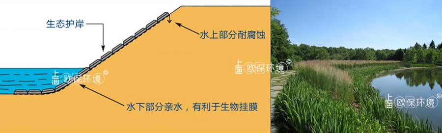安装柔性生态护岸，可以防止水土流失与风浪对驳岸的冲刷