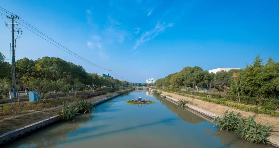 金山区新丰港(一体式太阳能曝气浮岛) 金山区新丰港(一体式太阳能曝气浮岛)