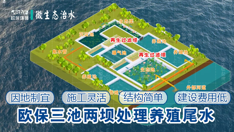 欧保环境ZIPBIO改进型三池两坝技术治理水产养殖尾水 欧保环境ZIPBIO改进型三池两坝技术治理水产养殖尾水