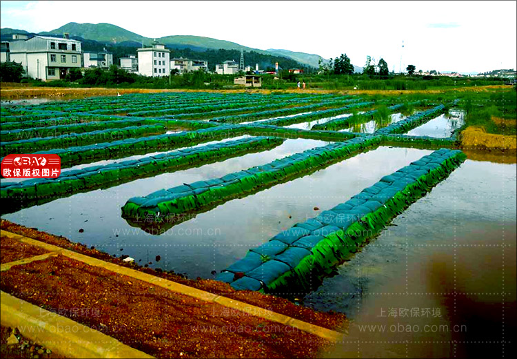 改进型三池两坝工艺占地面积为5%