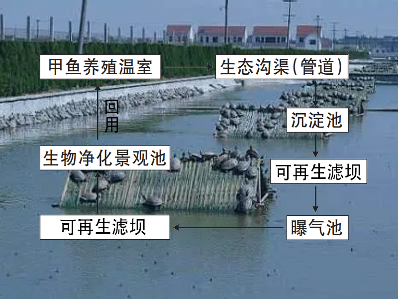 甲鱼养殖尾水治理三池两坝工艺流程